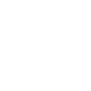 SYNT Team Logo
