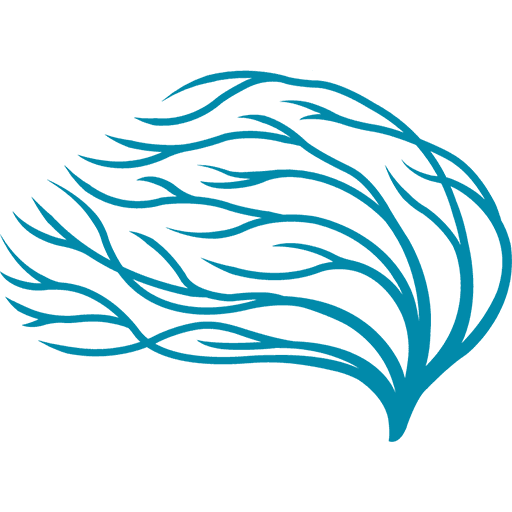 SoYouNeed logo